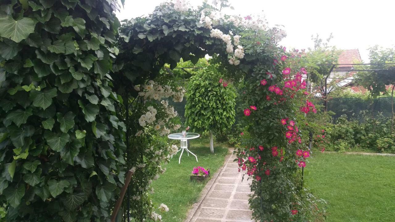 Guest House Simona サパレヴァ・バニャ エクステリア 写真